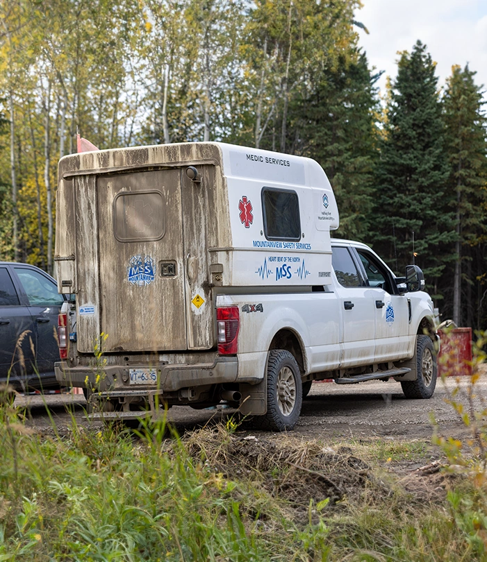 Mobile medical station